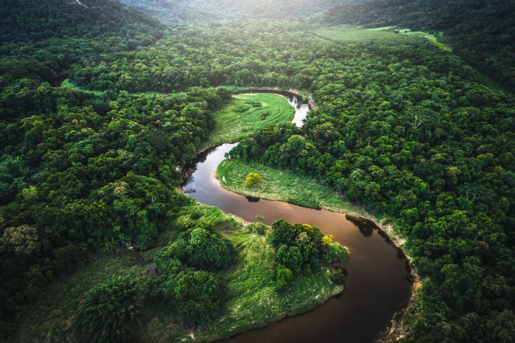 Hutan Amazon